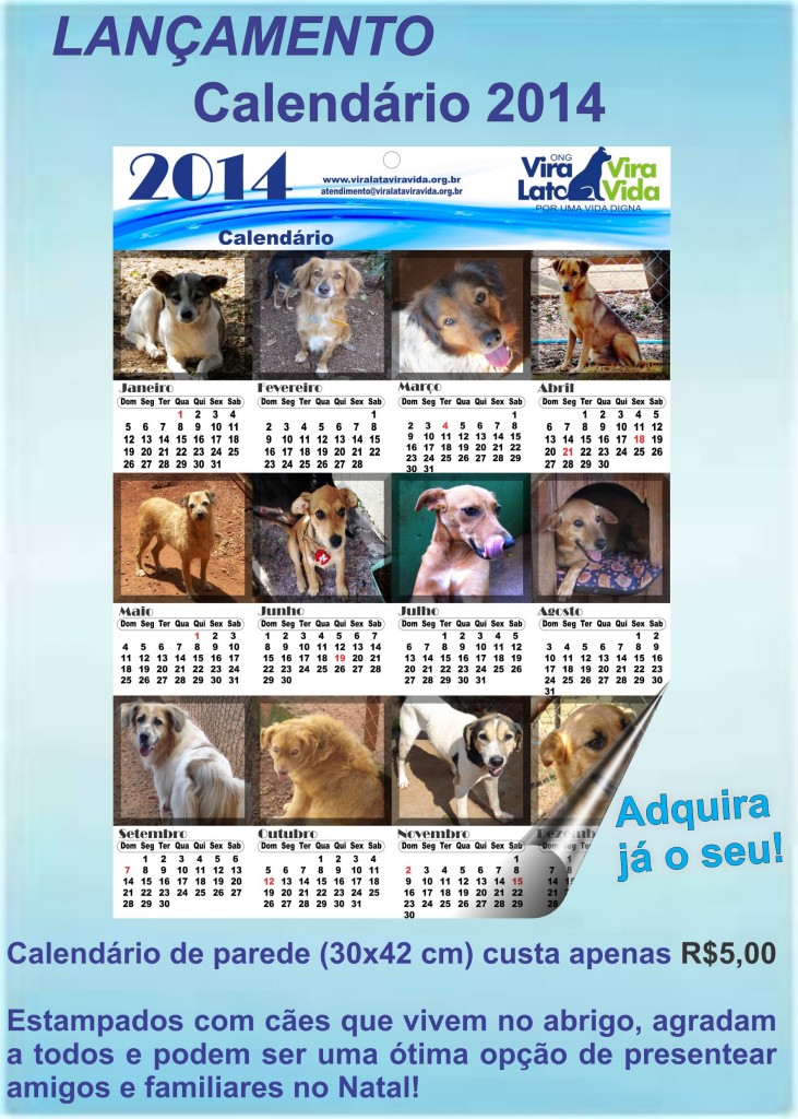 lancamento_calendario